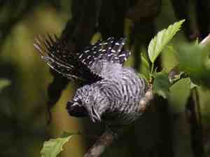 Defensor del Pueblo: informe Crisis e Hipotecas